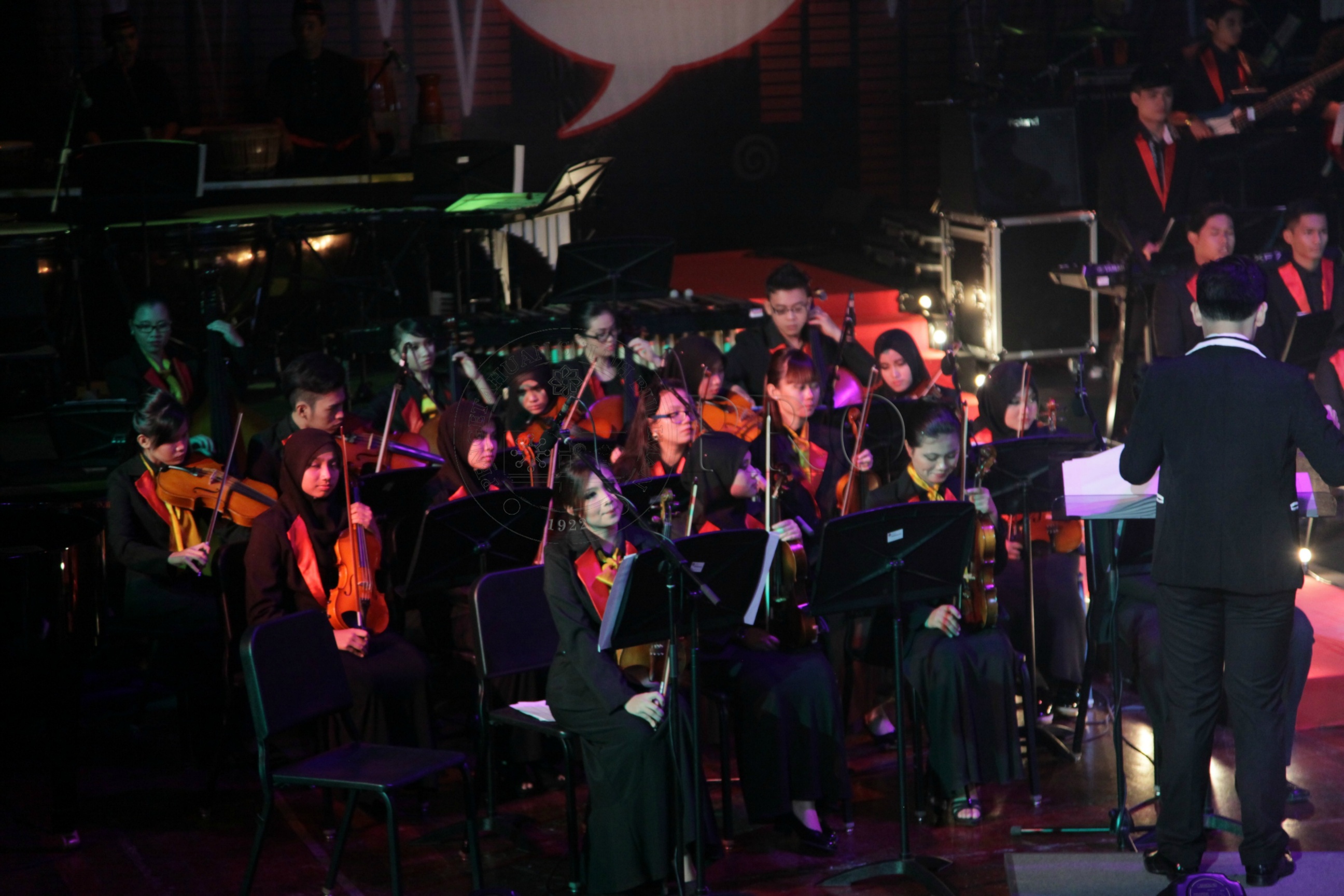 PRO 14 29 RARE IMG 0608